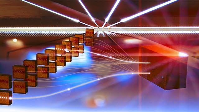dual species Quantum network