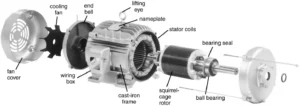 Induction Motor