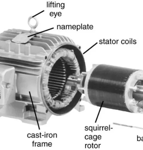 Induction Motor
