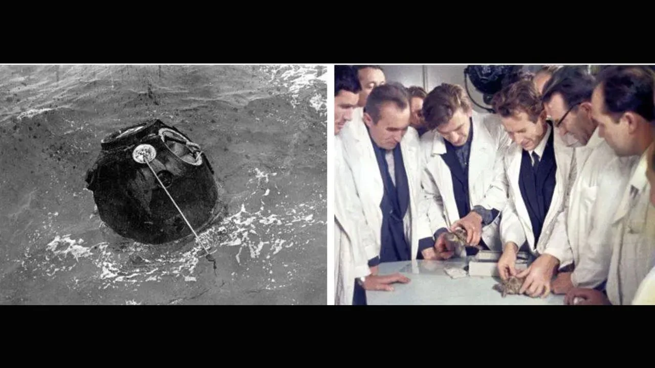 On this day in space! Sept. 15, 1968: Russian tortoises (& other critters) launch around the moon on Zond 5 spacecraft in wild first circumlunar flight 1 oYMCJW8ZtGqdMskqZ2GLzG 1280 80 2
