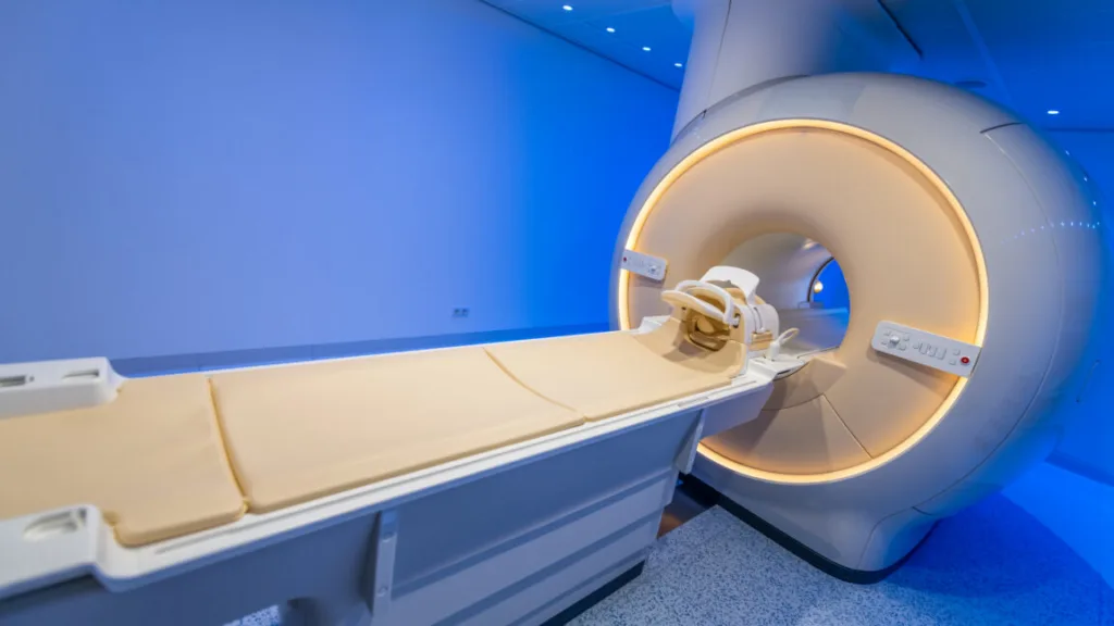 Monash University Study Shows Psilocybin Organizes Brain Activity Into Distinct Pathways Across Different Environmental Contexts 1 GettyImages 1308927414 1152x648 1