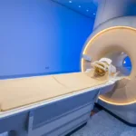 Monash University Study Shows Psilocybin Organizes Brain Activity Into Distinct Pathways Across Different Environmental Contexts 2 GettyImages 1308927414 1152x648 1